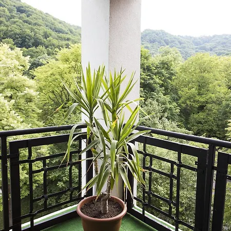 Orbita